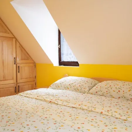 Kuca Za Odmor Jovanovic Apartment *