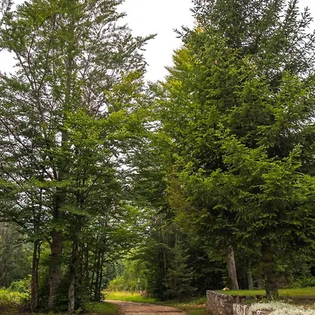 Kuca Za Odmor Jovanovic * Gornja Koprivna